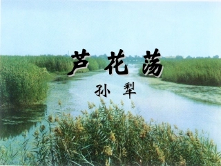 2.《芦花荡》
