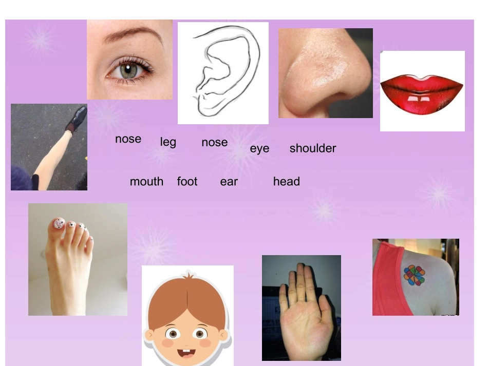 Unit1Herearehishands._第2页