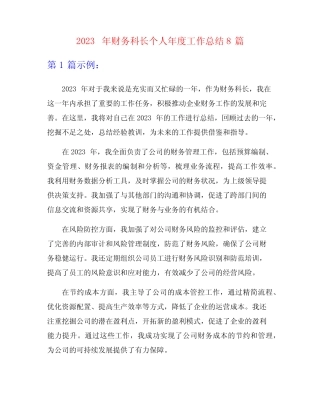 2023年财务科长个人年度工作总结8篇 