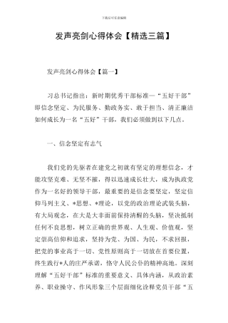 发声亮剑心得体会