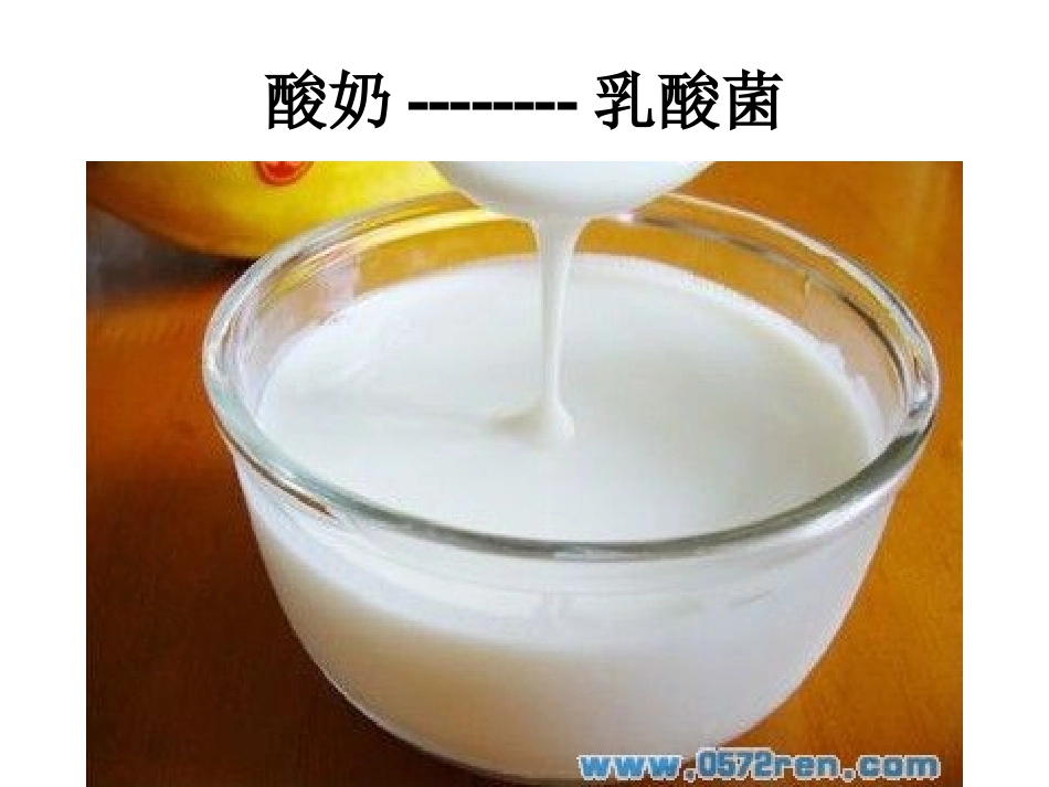 第2节微生物与人类的关系_第2页