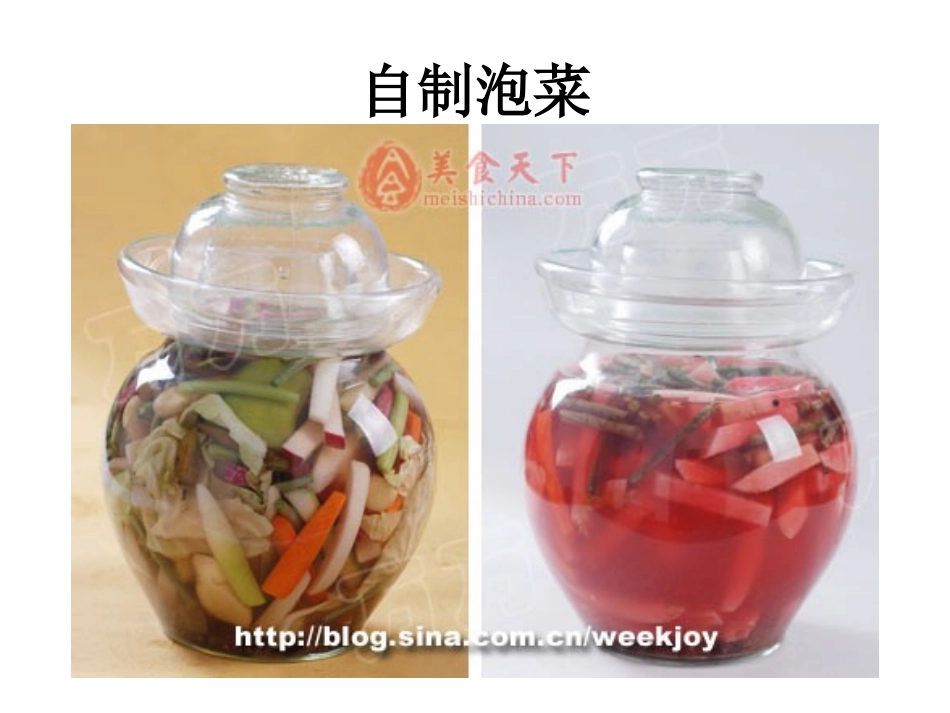 第2节微生物与人类的关系_第3页