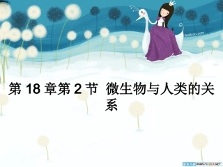 第2节微生物与人类的关系