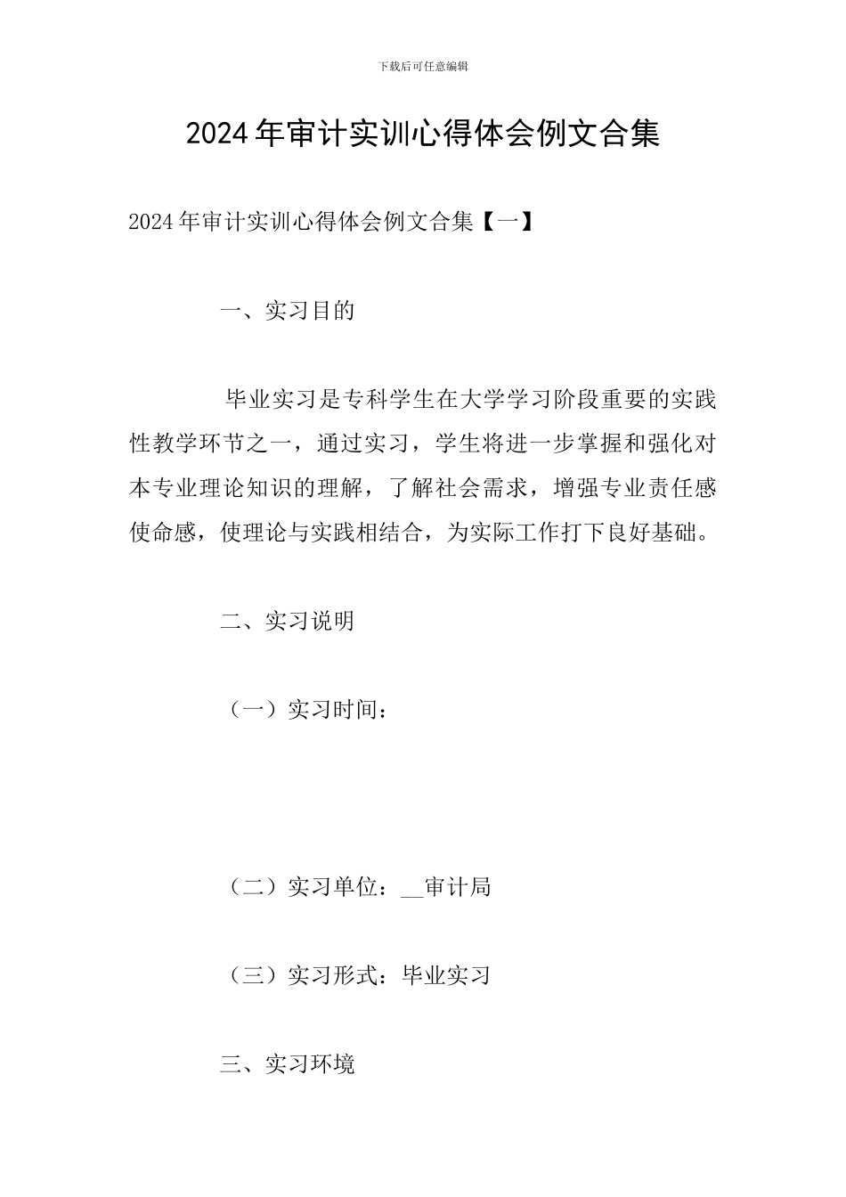 2024年审计实训心得体会例文合集_第1页