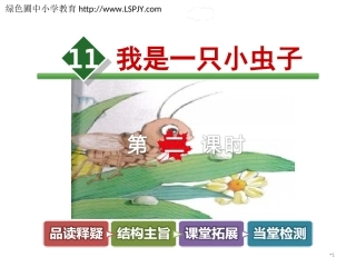 11我是一只小虫子