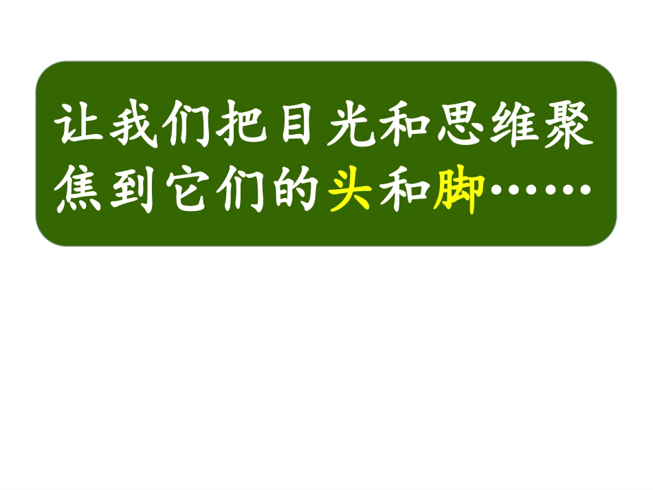 小学数学2011版本小学四年级《鸡兔同笼》问题_第3页