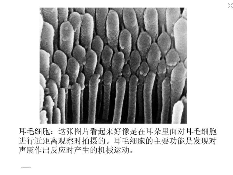11微观世界1_第2页