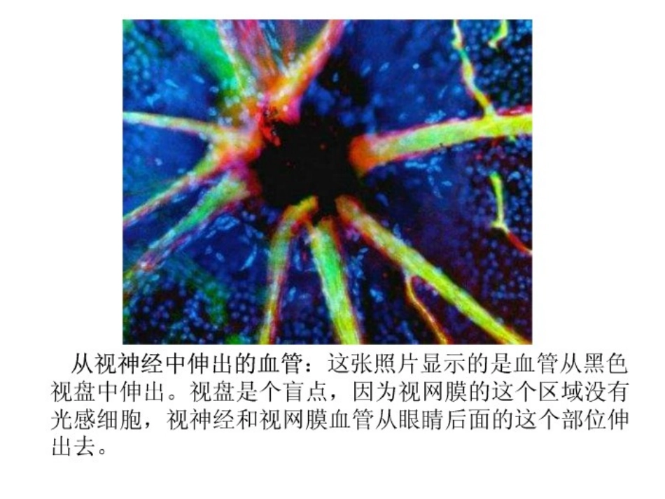 11微观世界1_第3页