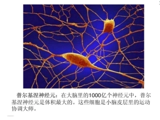11微观世界1