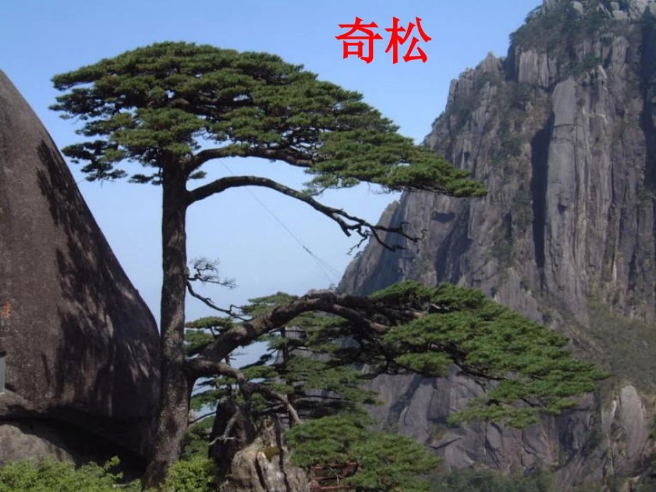 黄山奇石(用)_第3页