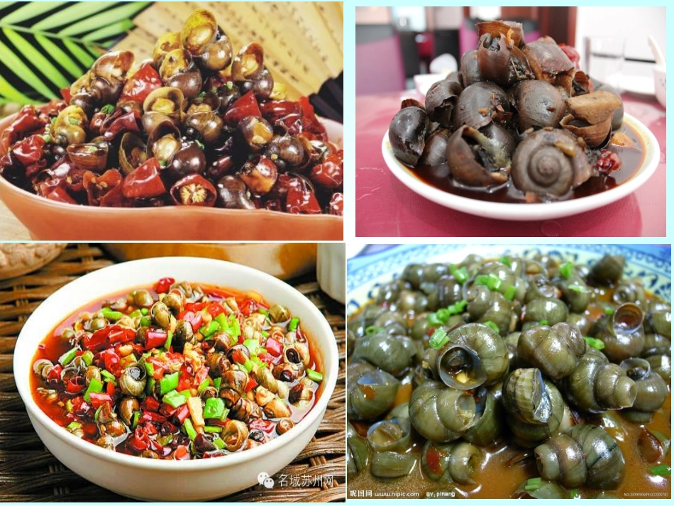 文件2-简报1_第2页