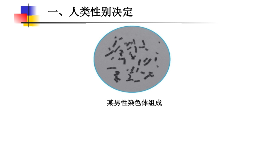 第三节人类的遗传_第3页
