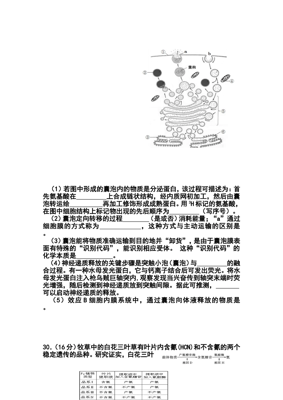 2014届北京市通州区高三模拟考试(一)生物试题及答案_第2页