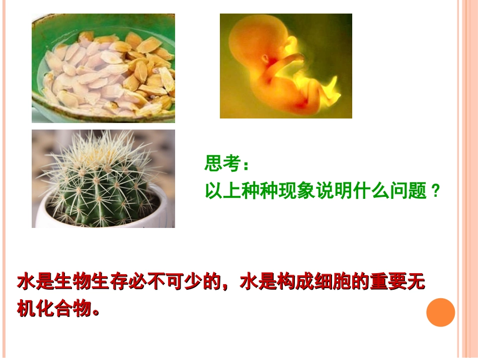 细胞中的无机化合物_第2页