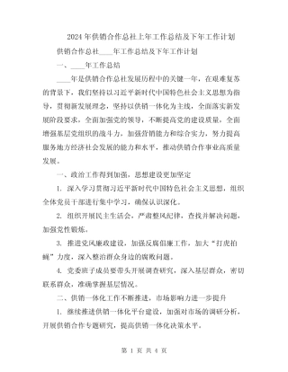 2024年供销合作总社上年工作总结及下年工作计划