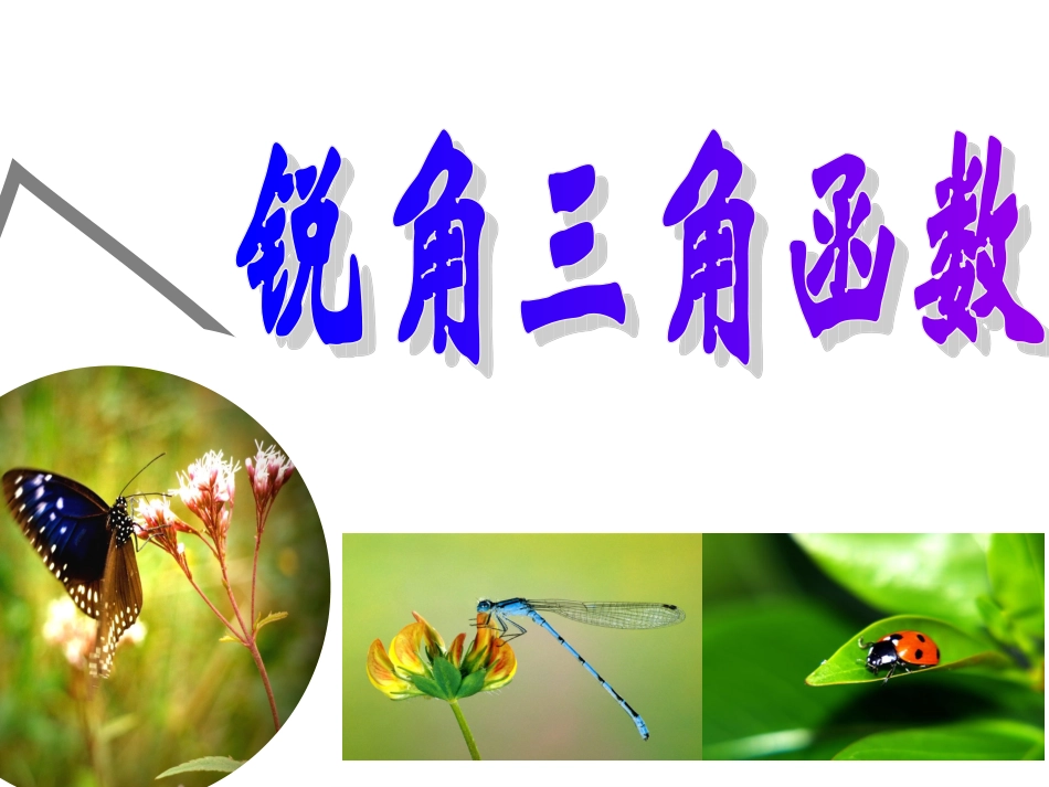 28.2特殊角的三角函数_第1页
