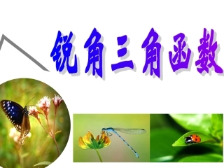 28.2特殊角的三角函数