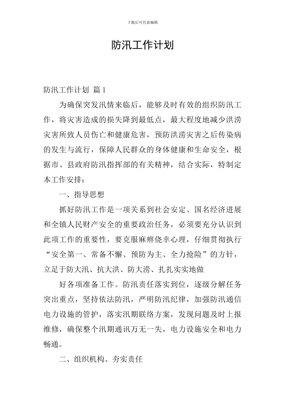 防汛工作计划_第1页