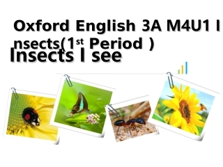 Unit1Insects