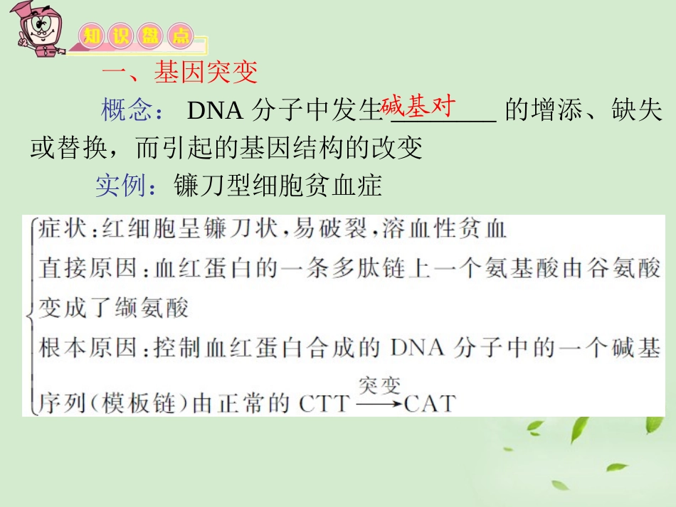 【教学导航】2012届高三生物复习-第18讲-基因突变、基因重组和染色体变异课件-新人教版必修2_第3页