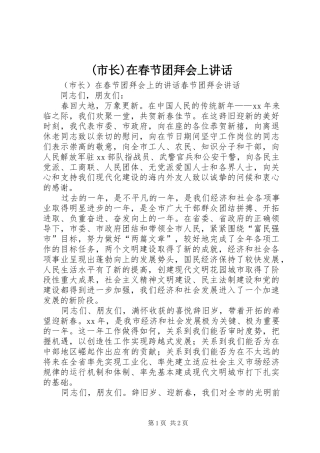 (市长)在春节团拜会上讲话发言