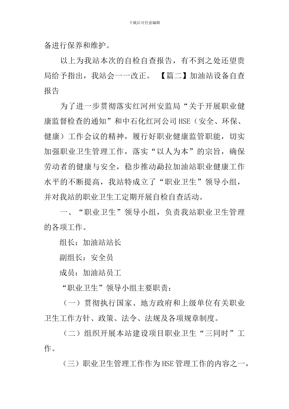 加油站设备自查报告_第3页