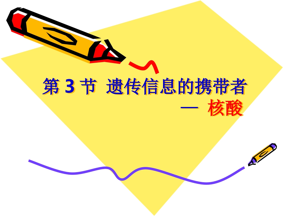 核酸展示课课件_第1页