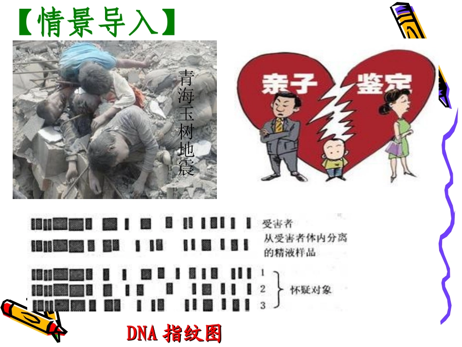 核酸展示课课件_第2页