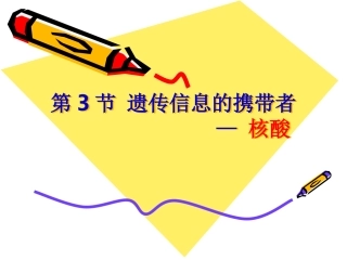 核酸展示课课件