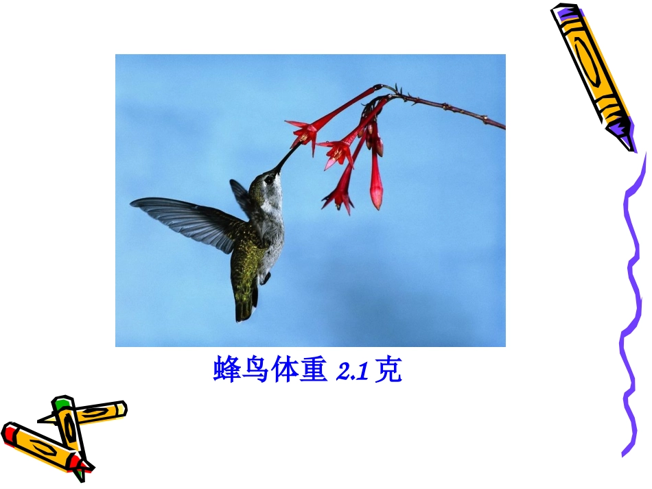 人教2011版小学数学三年级小数的初步认识PPT_第3页