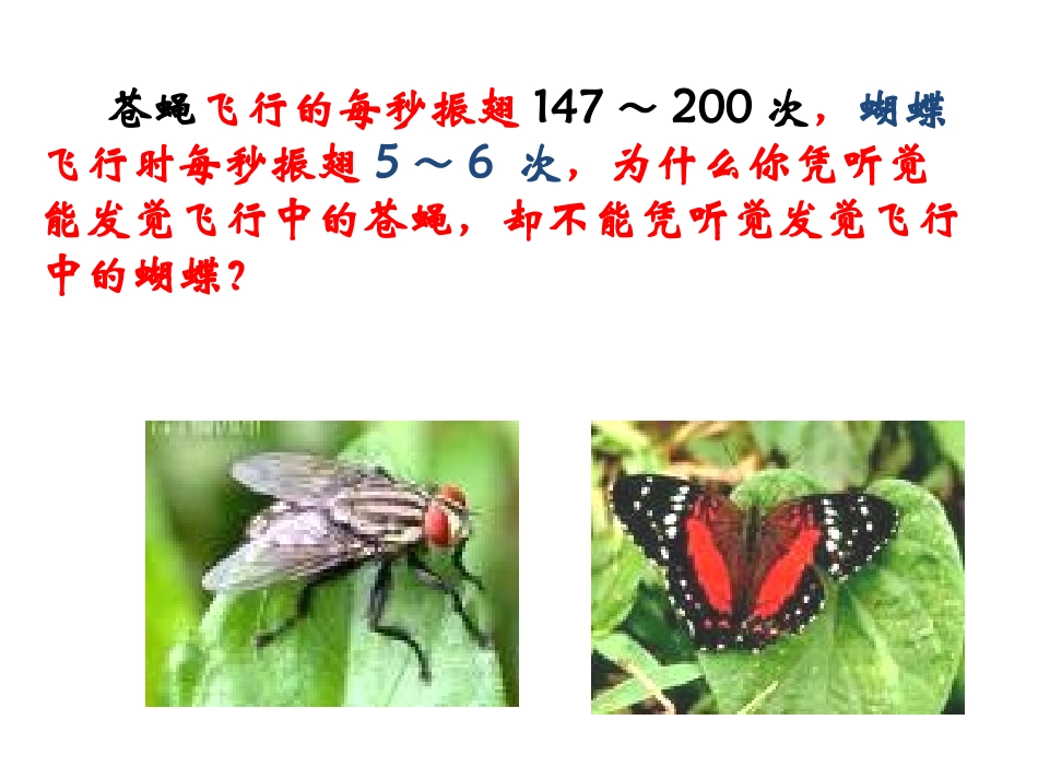 第三节超声与次声_第3页