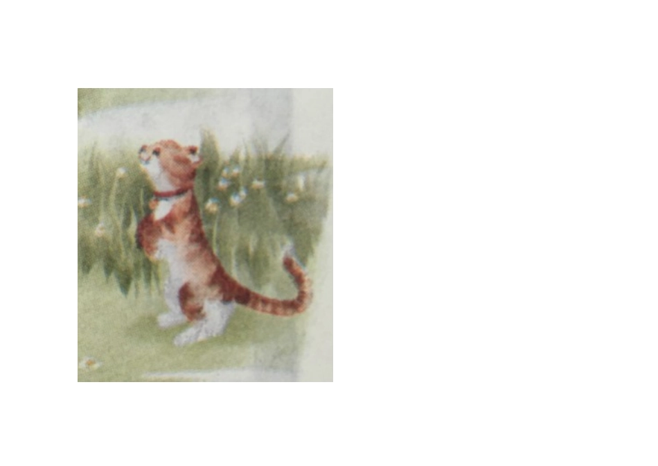 (部编)人教2011课标版一年级上册7大小多少-(2)_第2页