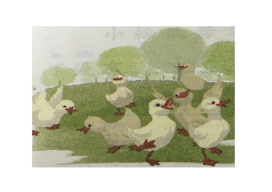 (部编)人教2011课标版一年级上册7大小多少-(2)_第3页