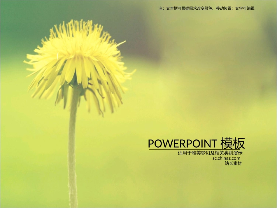 ppt青葱菊花模板_第1页