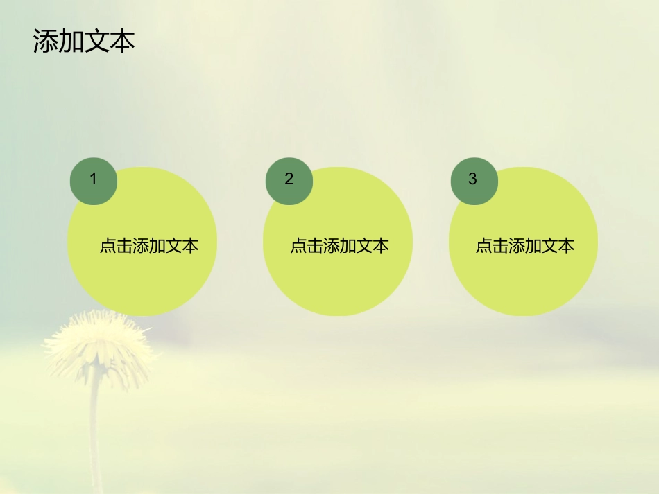ppt青葱菊花模板_第3页