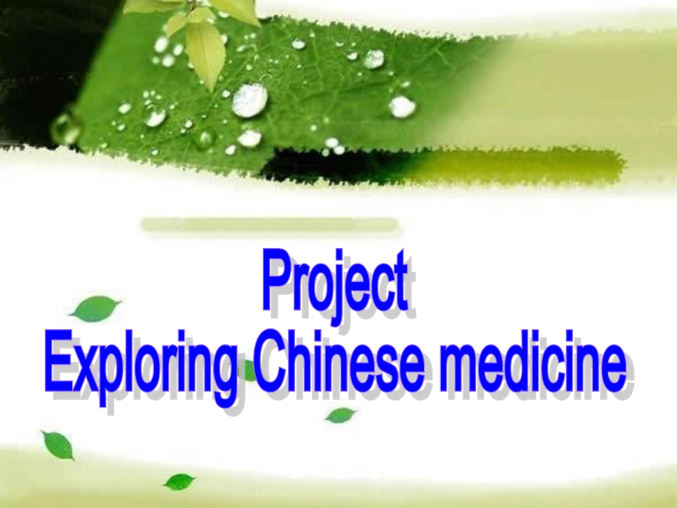 Project(2)_第3页