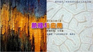 6肌理与应用
