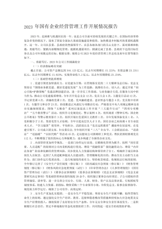 2023年国有企业经营管理工作开展情况报告