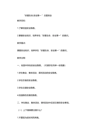 生命安全班会