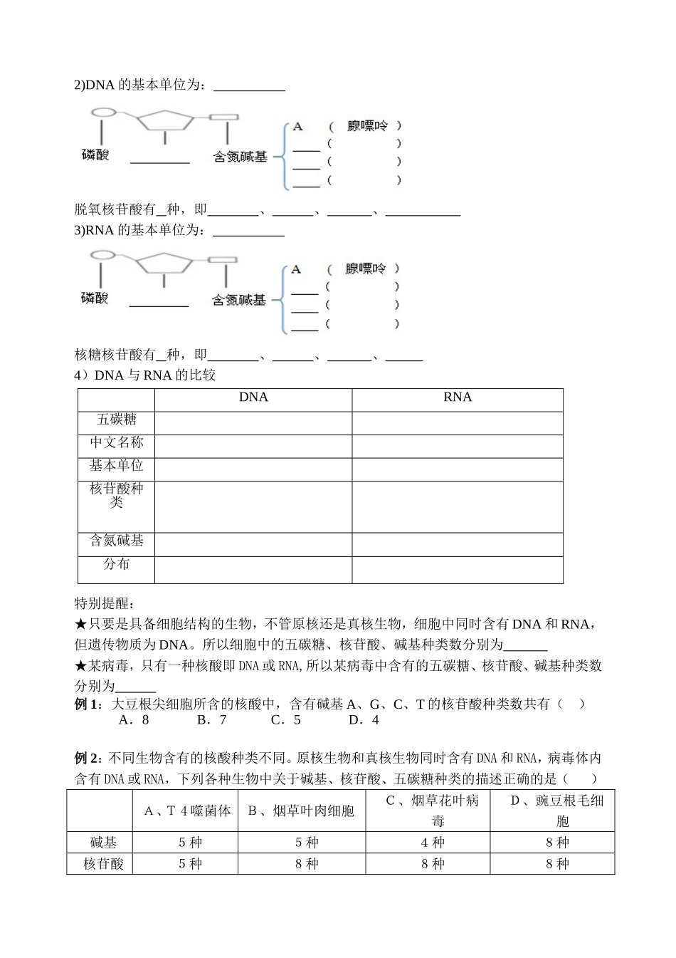 遗传信息的携带者_第2页