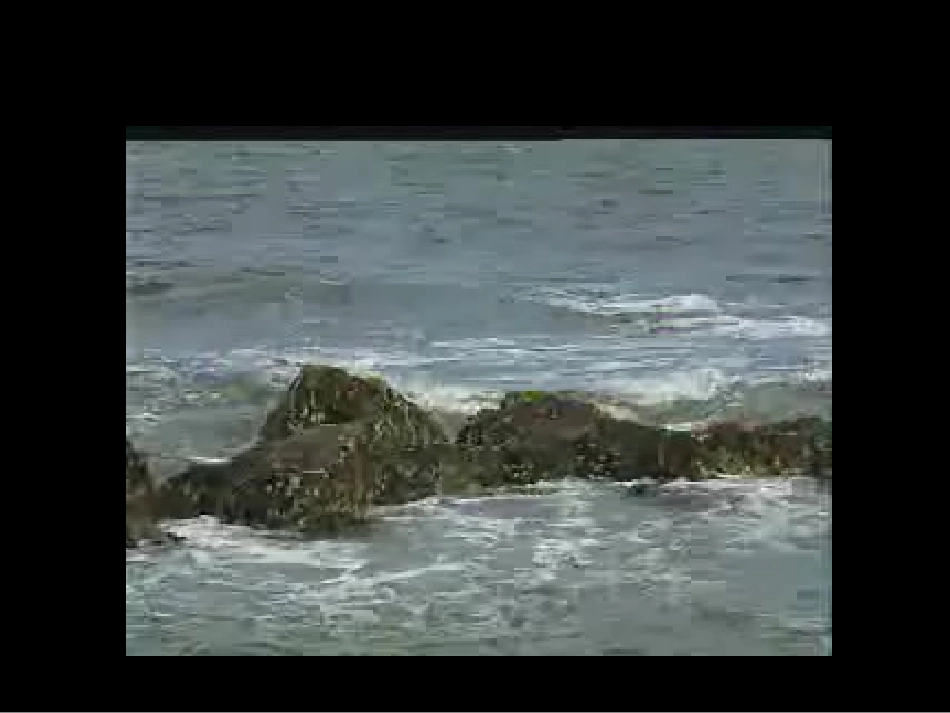 111声音的产生和传播_第3页