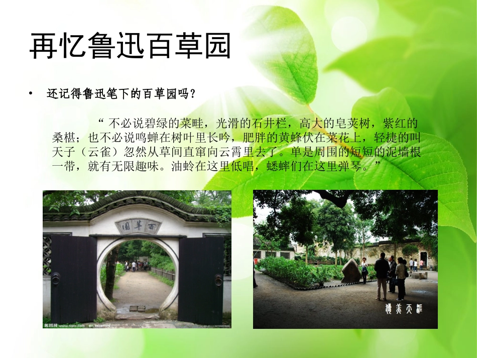 百草园的畅想_第2页