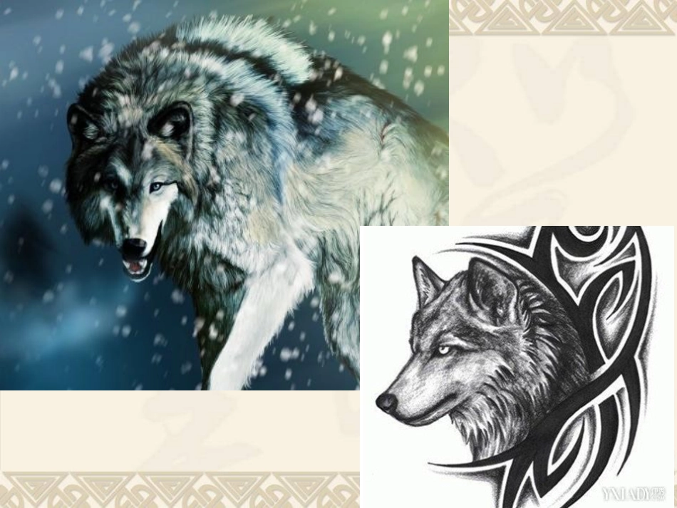 不留余地的狼_第2页