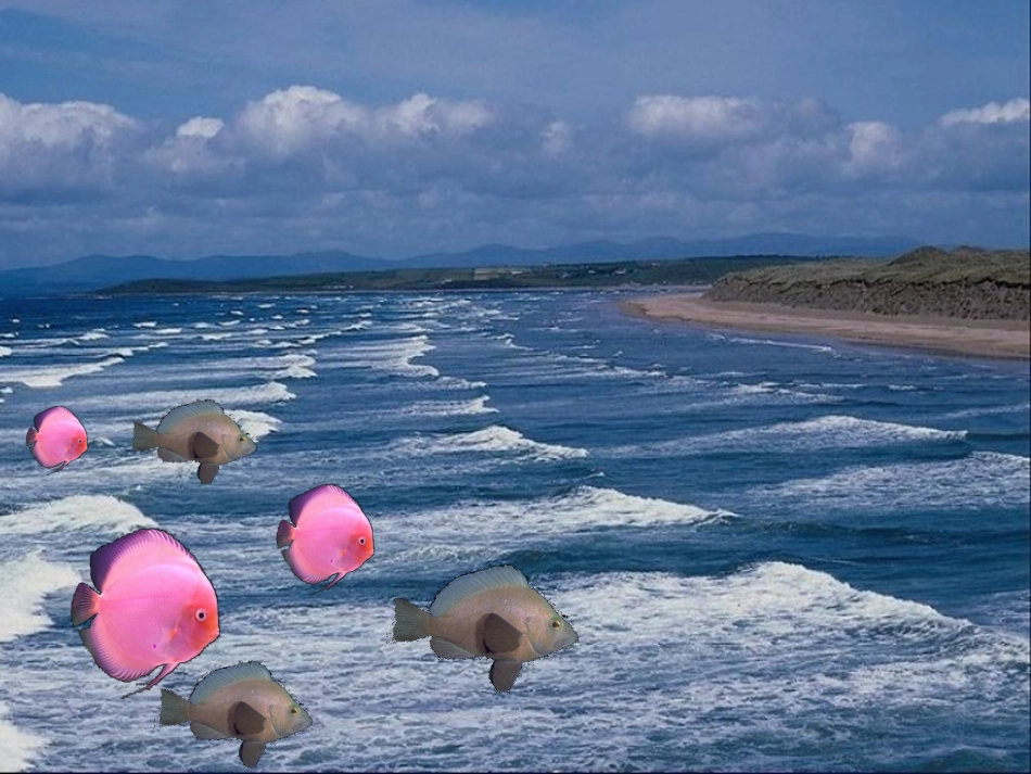 摇篮大班语言ppt_第3页