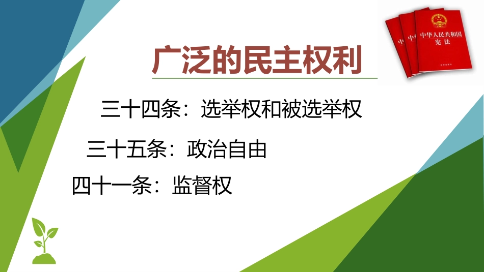 广泛的民主权利_第3页