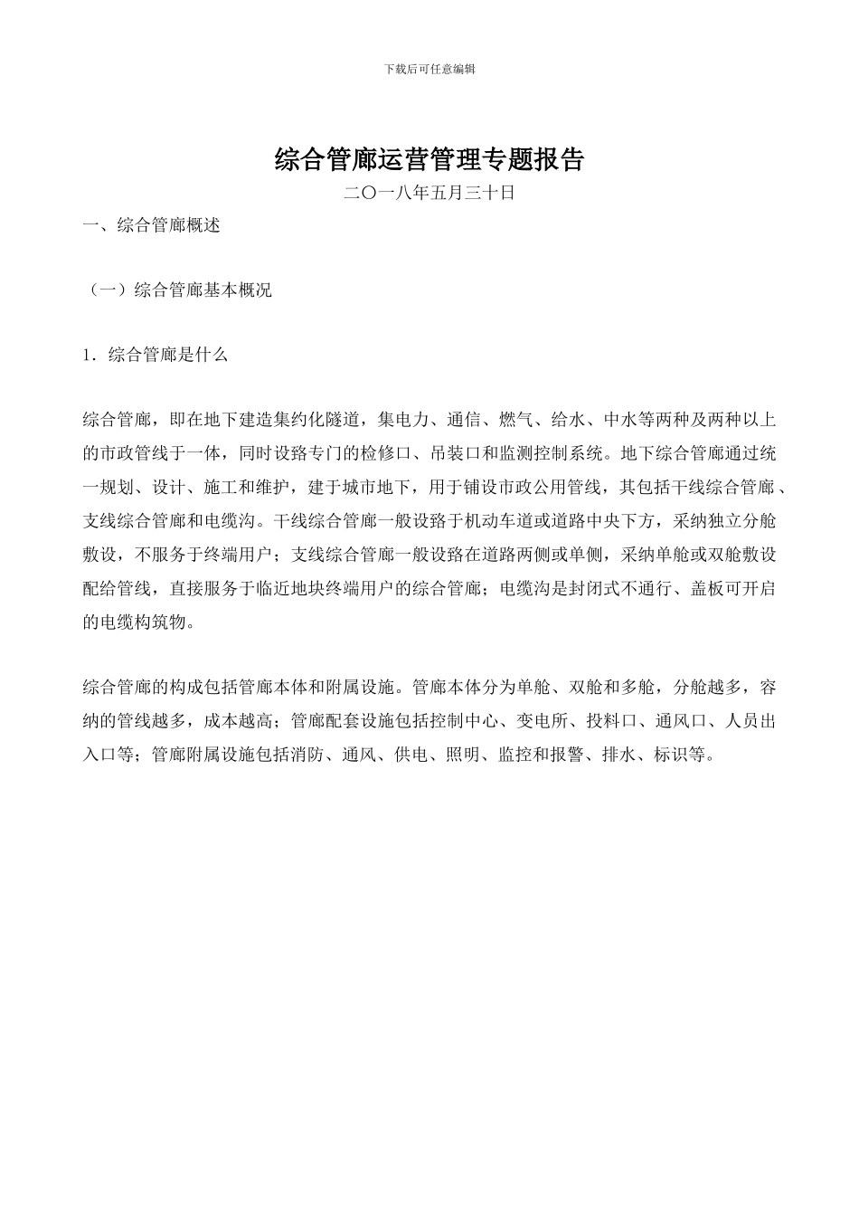 综合管廊运营管理专题报告_第1页