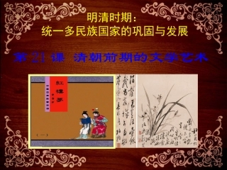 第21课清朝前期的文学艺术-(5)