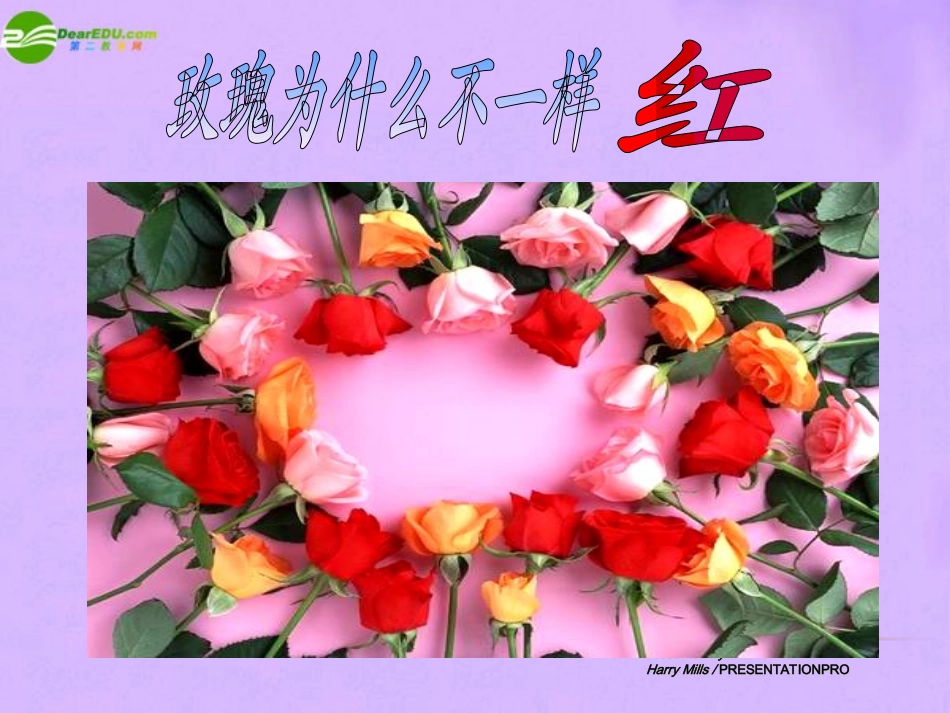 第五节生物的变异_第2页