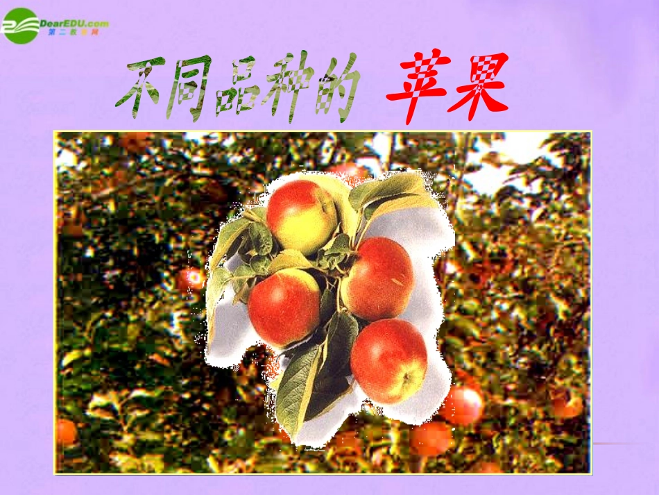 第五节生物的变异_第3页