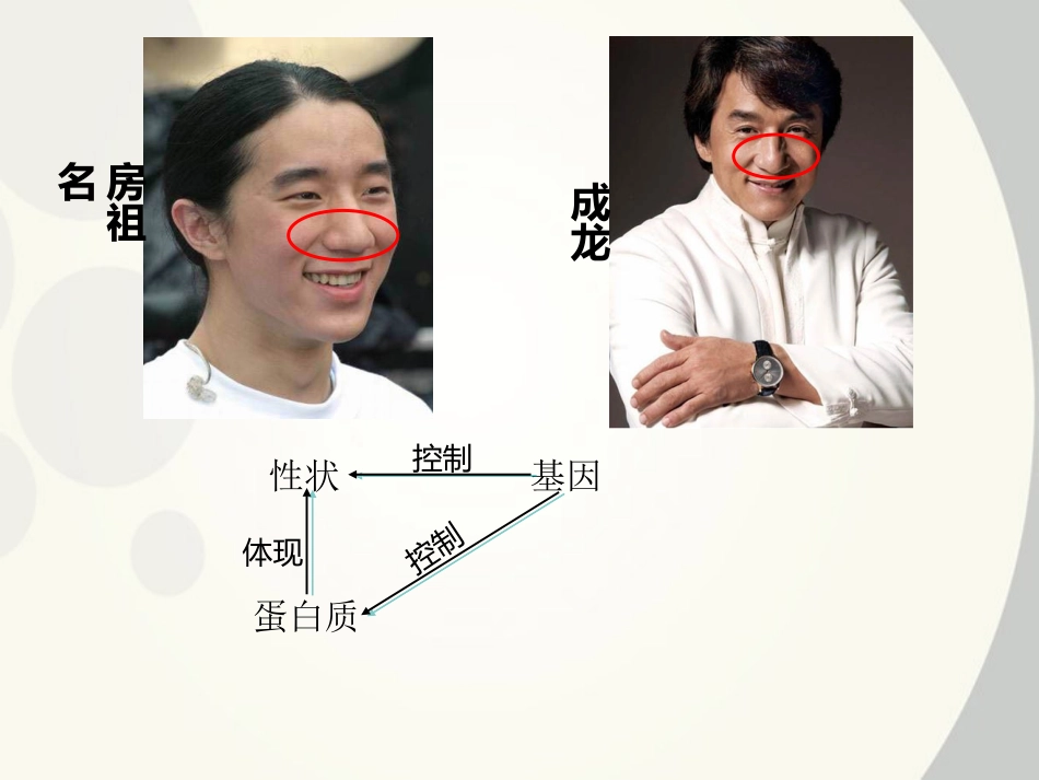 高中生物-《基因控制蛋白质的合成》课件-新人教版必修2_第1页